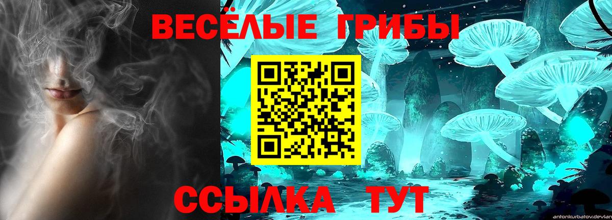 Псилоцибиновые грибы Cubensis Богородск